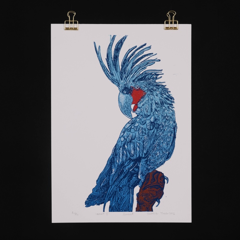 Parrot series - linocuts by Natalia Tredo